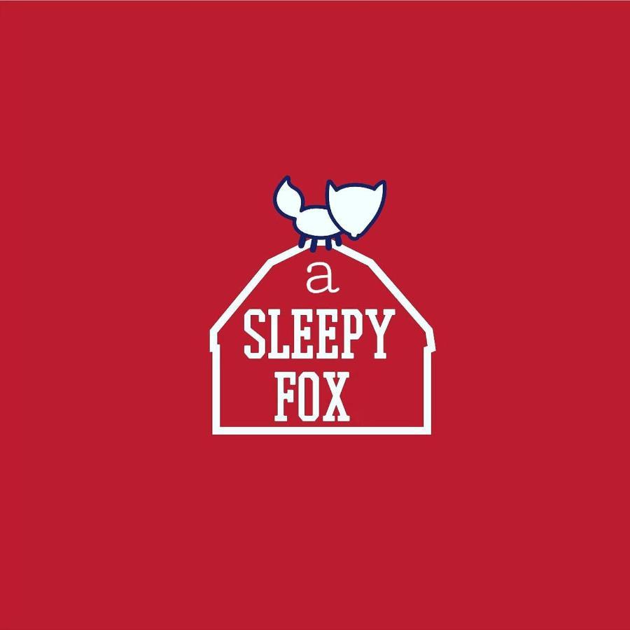新德里 A Sleepy Fox旅舍 外观 照片