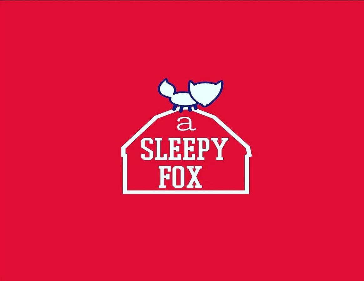 新德里 A Sleepy Fox旅舍 外观 照片